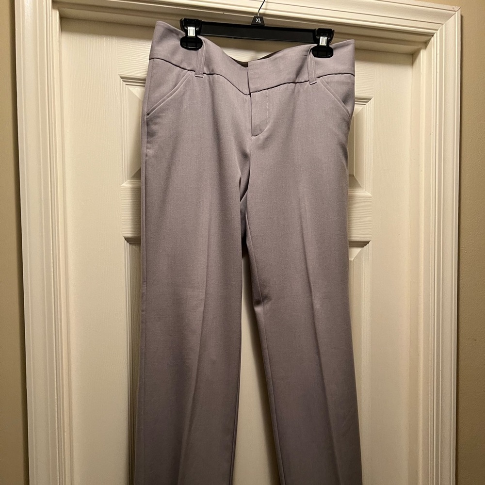 Dress pants great for the professional woman!